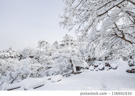 Gujo Hachiman Castle (Winter) 136602830