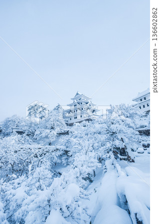 郡上八幡城(冬季) 郡上八幡城(冬季) 136602862