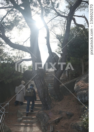 The back view of a senior couple climbing a mountain path in the backlight and the natural scenery 136602870