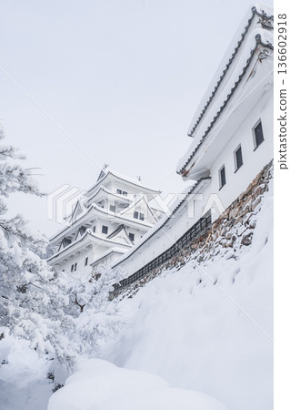 Gujo Hachiman Castle (Winter) 136602918