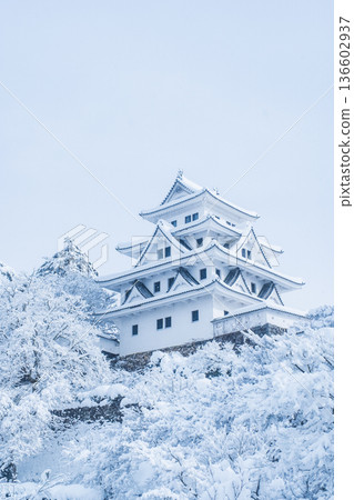 郡上八幡城(冬季) 郡上八幡城(冬季) 136602937