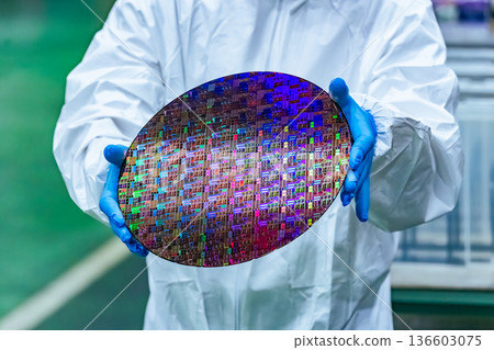 Worker in protective suit holding silicon wafer in semiconductor factory 136603075