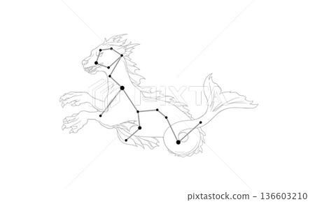 鯨魚座的單色線條畫 136603210