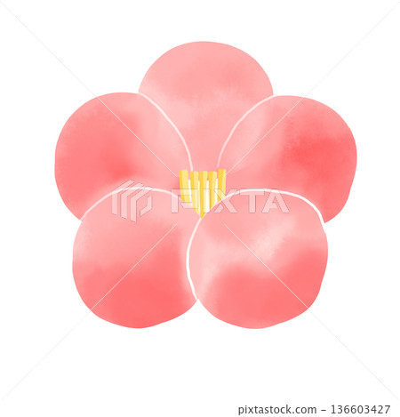 水彩風格的日式梅子點心插畫素材 136603427