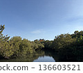 Scenario of Nature: Sicao Green Tunnel, Tainan, Taipei ,Taiwan 136603521