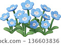 3D illustration of nemophila in full bloom, image of the arrival of spring and nature 136603836