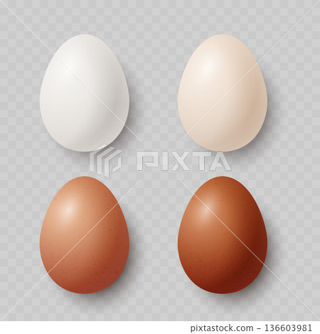 Realistic Chicken Egg Set. Vector White, Beige and Brown Raw Food Collection for Easter or Farm Design. 136603981