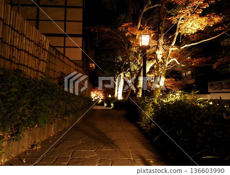 Shuzenji Onsen at night Shuzenji Onsen at night 136603990