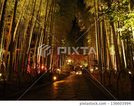 修善寺溫泉的夜晚 修善寺溫泉的夜晚 136603994