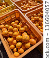 Mandarin oranges harvested during a part-time job in Ehime 136604057