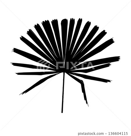 Palm tree leaf silhouette Palm tree leaf silhouette 136604115