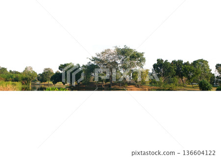 View of a High definition Treeline 136604122