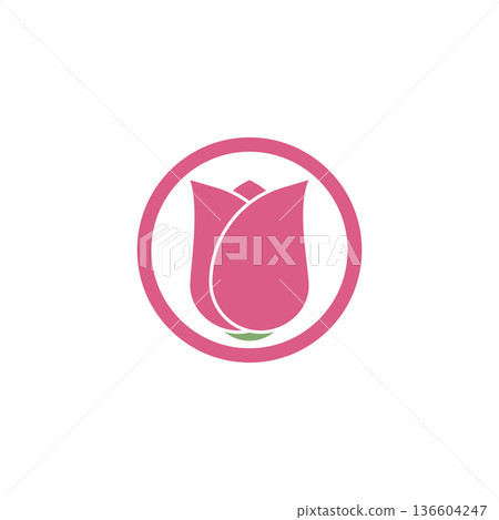 Rose flower illustration Rose flower illustration 136604247