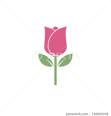 Rose flower illustration Rose flower illustration 136604248