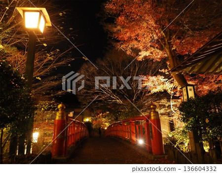 Shuzenji Onsen at night 136604332