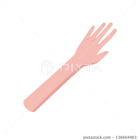 Open human hand in flat cartoon graphic style. Realistic gesture with detailed finger shape and minimal abstract symbol design. Clean creative concept for diverse social or art projects. Open human hand in flat cartoon graphic style. Realistic gesture with detailed finger shape and minimal abstract symbol design. Clean creative concept for diverse social or art projects. 136604963