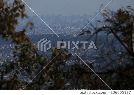 Tokyo cityscape Tokyo cityscape 136605127