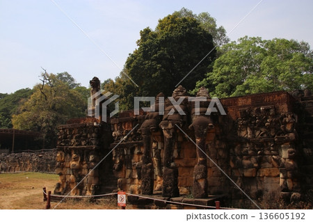 Elephant terrace Elephant terrace 136605192