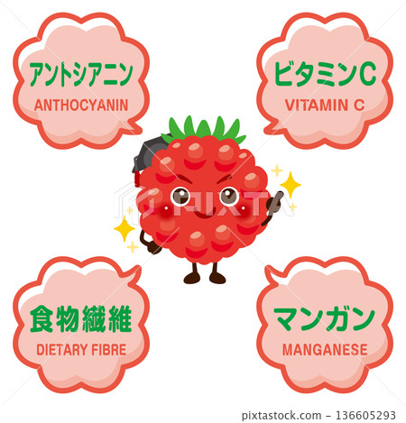 覆盆子的特徵和成分圖示 覆盆子的特徵和成分圖示 136605293