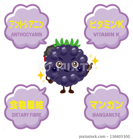 黑莓圖像插圖及黑莓成分 黑莓圖像插圖及黑莓成分 136605300