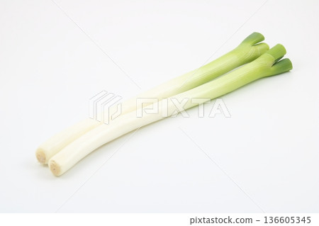 High-quality white onions with a vibrant green color High-quality white onions with a vibrant green color 136605345