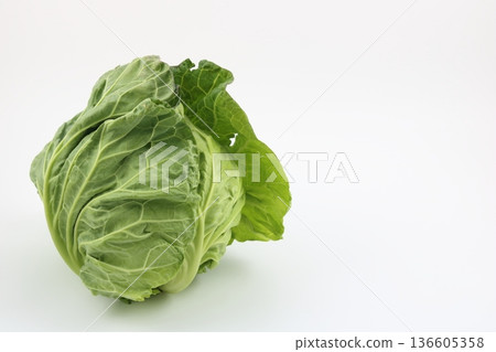 春天的捲心菜,顏色鮮豔翠綠 春天的捲心菜,顏色鮮豔翠綠 136605358