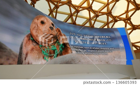 2025年大阪關西世博會藍海洋圓頂展館展覽 136605393