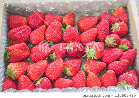 大盒裝草莓 136605459