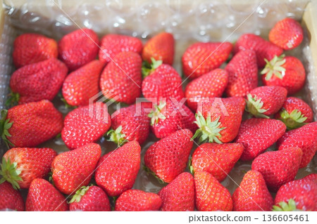 Large boxed strawberries 136605461