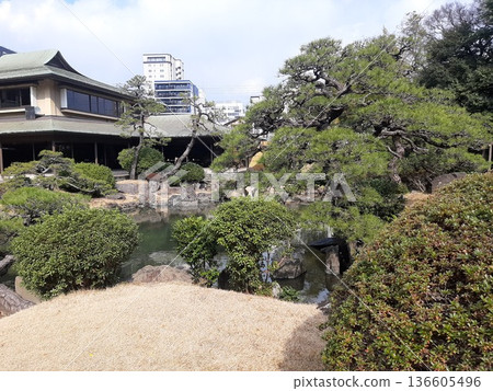 美麗的日式花園 美麗的日式花園 136605496