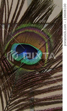 孔雀眼斑 5 136606100