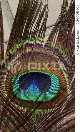 孔雀眼斑 2 136606103