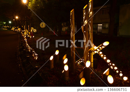 Ushijima Shrine Bamboo Lanterns, Tokyo Downtown, Mukojima, Sumida Ward Ushijima Shrine Bamboo Lanterns, Tokyo Downtown, Mukojima, Sumida Ward 136606731
