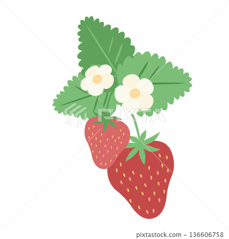Illustration material of cute strawberry 136606758