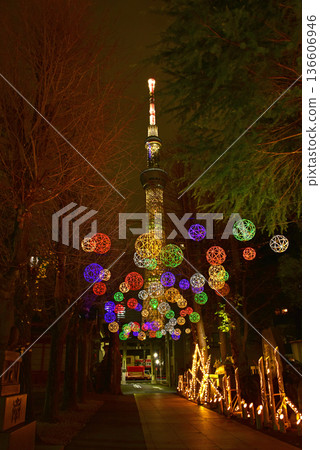 Tokyo Skytree and bamboo lanterns in Mukojima, Sumida Ward, downtown Tokyo 136606946