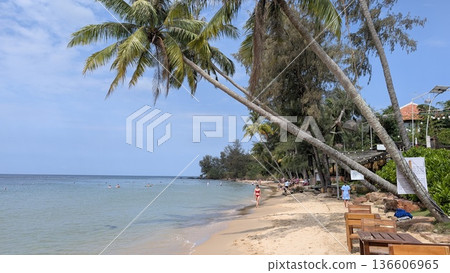 Beach with palm trees 3 136606965