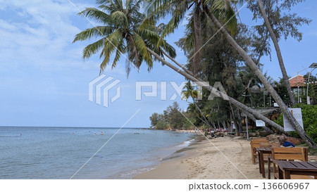 Beach with palm trees 2 Beach with palm trees 2 136606967
