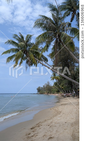 Beach with palm trees Beach with palm trees 136606968