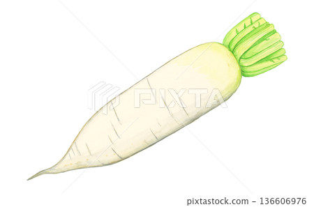 白色背景上的手繪水彩蘿蔔（帶葉子和莖），逼真的食物插圖 136606976