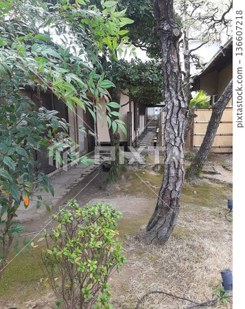 Garden Veranda Greenery Garden Veranda Greenery 136607218
