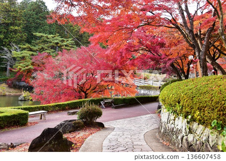 伊豆市修善寺虹之裡日式庭園步道及絢麗秋葉 136607458