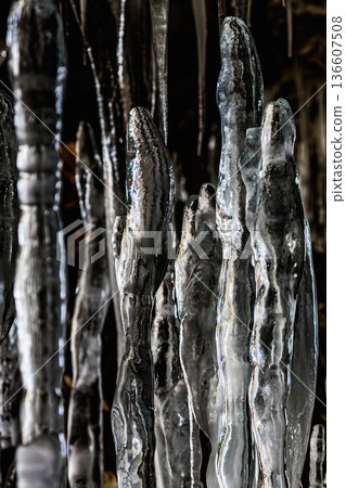 A forest of ice stalagmites in Hyakujojiki Cave A mysterious winter cave landscape 136607508