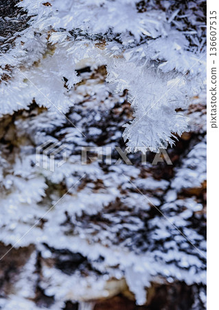 洞穴頂部形成了精緻的冰晶紋理 136607515