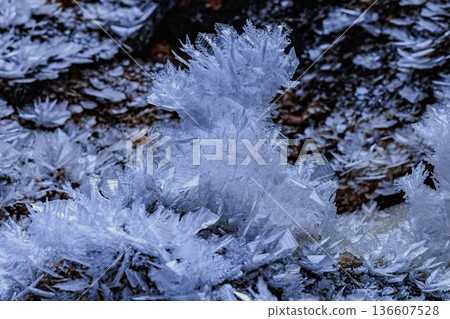 Cave Ice Crystals – Frozen Ceiling of Hyakujoshiki Cave Ice Crystals – Frozen Ceiling of Hyakujoshiki 136607528