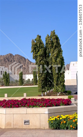 Beautiful Garden Scene. Lush Landscape With Vibrant Colors. Serene View Of Nature And City Harmony. Peaceful Greenscape Accented By Blossoms And Mountain Backdrop 136607553