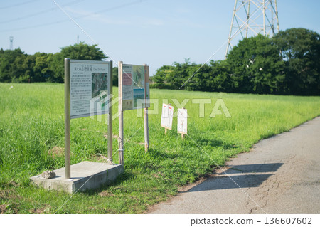 Yamano Shell Mound in Sodegaura City, Chiba Prefecture Yamano Shell Mound in Sodegaura City, Chiba Prefecture 136607602