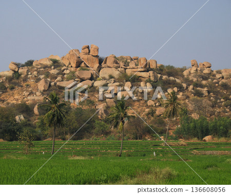 Green rice fields and granite mountain in Sanapur, village near Hampi, India. Green rice fields and granite mountain in Sanapur, village near Hampi, India. 136608056