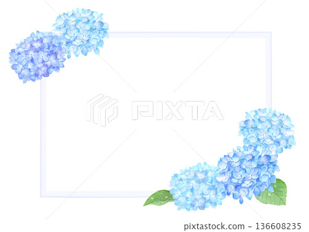 水彩繡球花框,點綴著雨滴 水彩繡球花框,點綴著雨滴 136608235