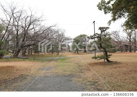 2024, Fukuoka, Fukuoka City, Landscape, Chuo Ward, Castle, Fukuoka Castle Ruins, Part 50 2024, Fukuoka, Fukuoka City, Landscape, Chuo Ward, Castle, Fukuoka Castle Ruins, Part 50 136608336