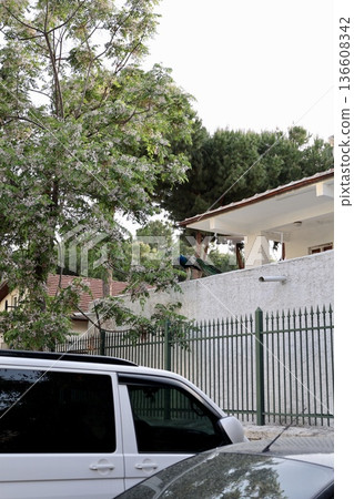 The peacock was sitting on a tree. peacock on the roof The peacock was sitting on a tree. peacock on the roof 136608342